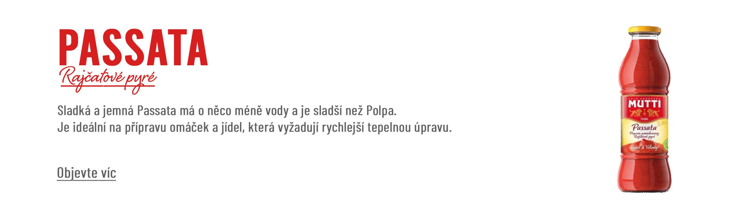 PASSATA final - cz (1)